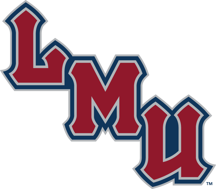 Loyola Marymount Lions 2001-Pres Wordmark Logo v4 iron on transfers for T-shirts